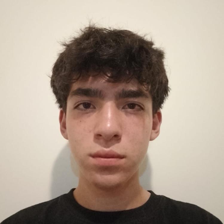 User Image