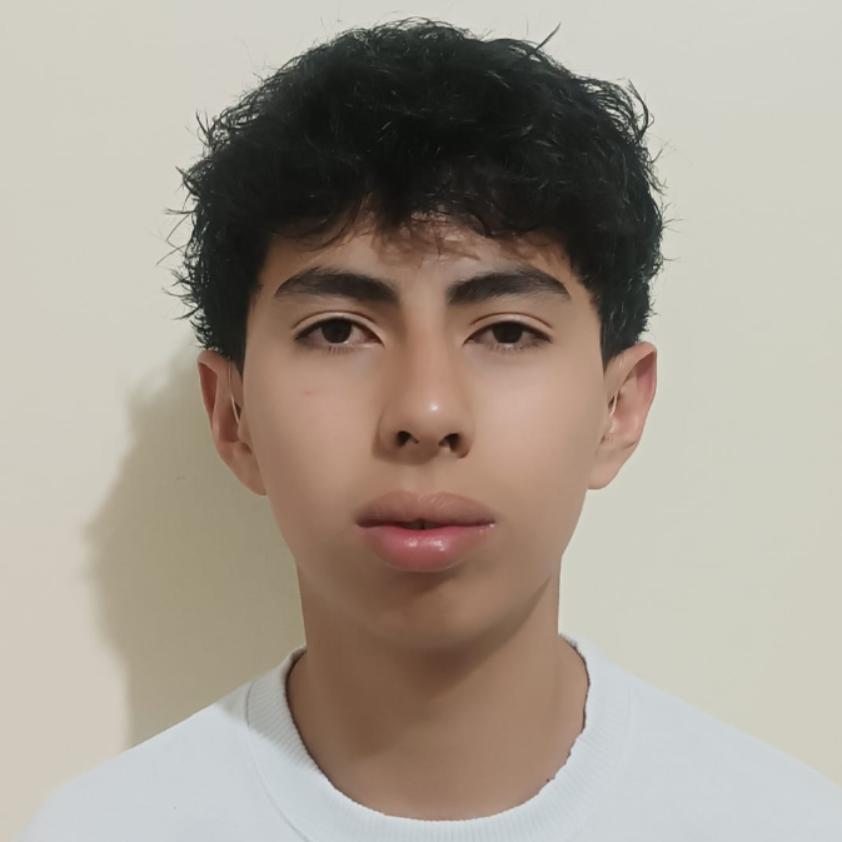 User Image
